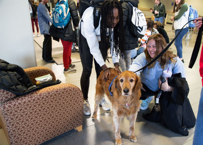 Dog cafe CAB event